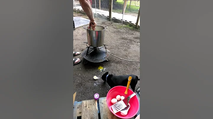 Told you men can't cook!!!! Lmao!