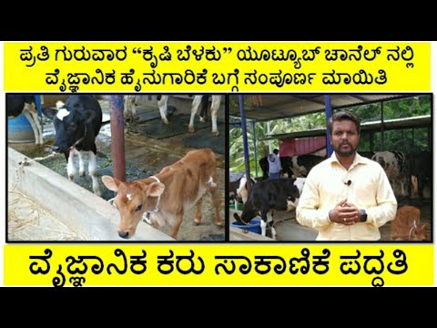 ವೈಜ್ಞಾನಿಕ ಕರು ಸಾಕಾಣಿಕೆಯಿಂದ ರೈತರು ಉತ್ತಮ ಆದಾಯವನ್ನು ಪಡೆಯಬಹುದು