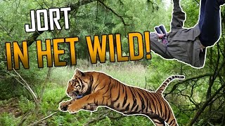 Jort In Het Wild Gladjakkers