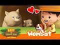 Hewan lucu ini punya tahi kotak   wombat  leo si penjaga alam  minisode