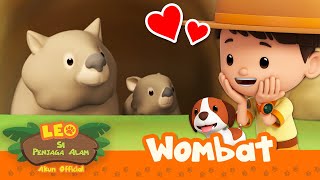 Hewan LUCU ini punya TAHI KOTAK?! 💩 | Wombat | Leo Si Penjaga Alam | #minisode