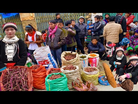 CHỢ PHIÊN QUẢN BẠ HÀ GIANG BÁN TOÀN ĐẶC SẢN NÚI RỪNG | Miền núi tây bắc