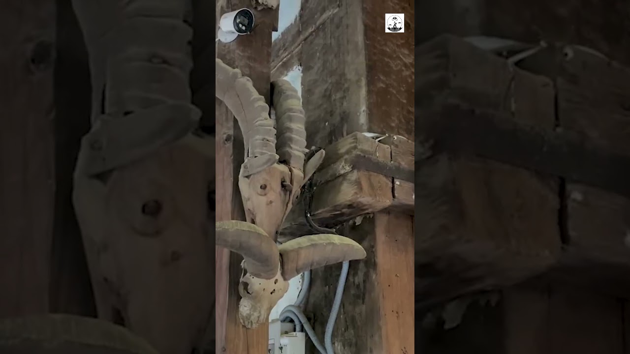 Manali 2024 | Manali Tourist Places | Manali Offbeat Places | Manali Himachal Pradesh