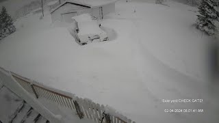 Nova Scotia Snow storm Feb 2 2024 time lapse
