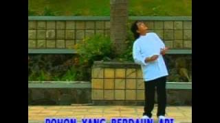 Pohon berdaun api - Fazal dath