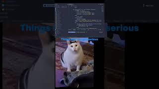 Software Learning Stages