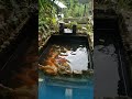 Penambahan air baru,setelah saringan filter airator di bersihkan.