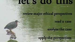 Ethical Perspectives