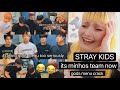 STRAY KIDS 'took gods menu too seriously but it's minhos team now' CRACK REACTION!