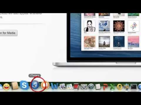 Video: Cách mở tệp RVT trên PC hoặc Mac (có Ảnh)