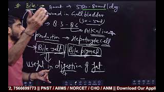 MSN( DIGESTIVE SYSTEM) COMPLETE EXPLANATION BY SK SIR...