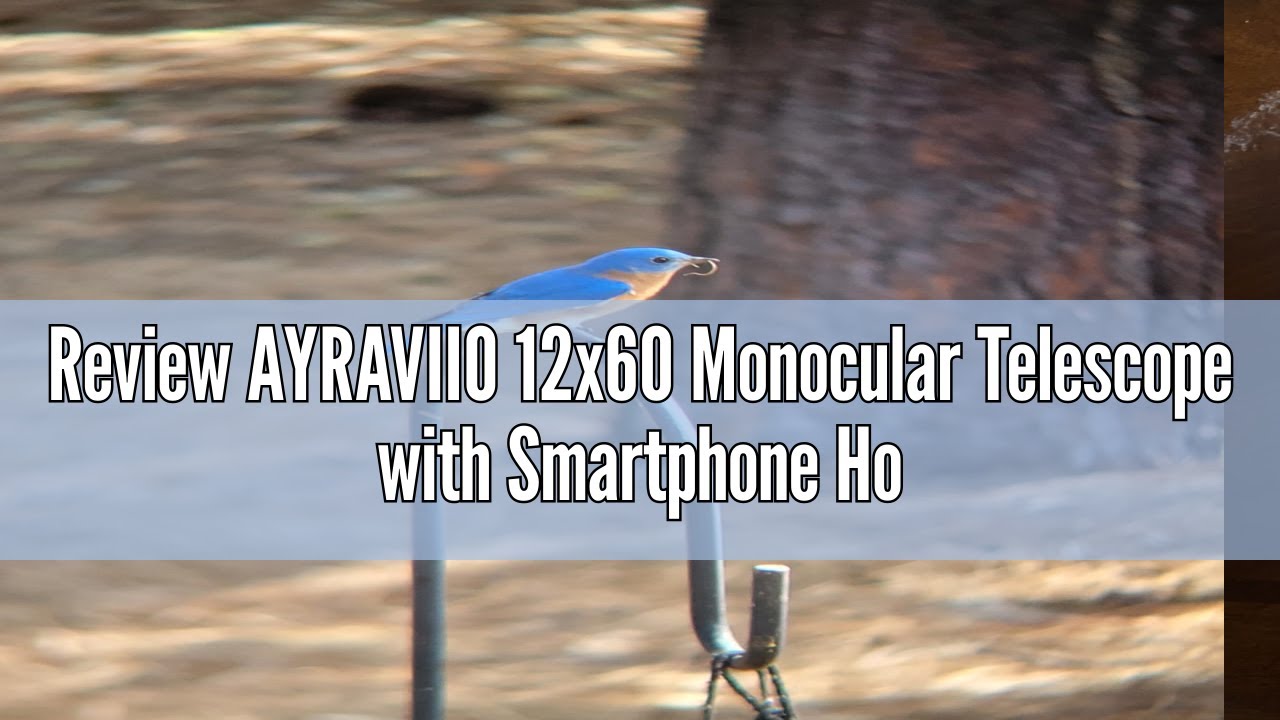 Review AYRAVIIO 12x60 Monocular Telescope with Smartphone Holder ...