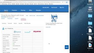 Credit Check Total - Import Demo - ReportClient.com screenshot 5