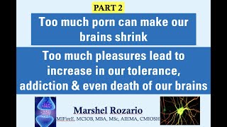 Part 2: Too much porn can make our brains shrink (this will get ...