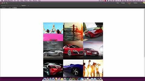 How to use the Gallery FX Widget