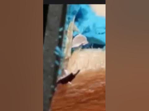 Анекдот про внуков 🤣🤣🤣👍👍👍 - YouTube