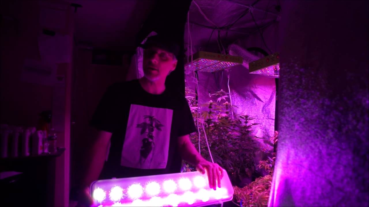 Cultivate Tech's Bud Booster LED Grow Light