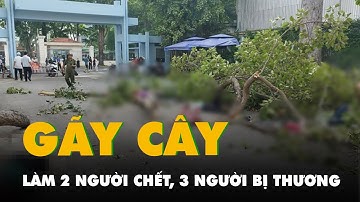 Gãy nhánh cây ở Công viên Tao Đàn: 2 người chết, 3 người bị thương