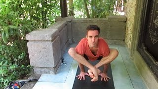 Bhujapidasana Workshop: Jumping in and Vinyasa