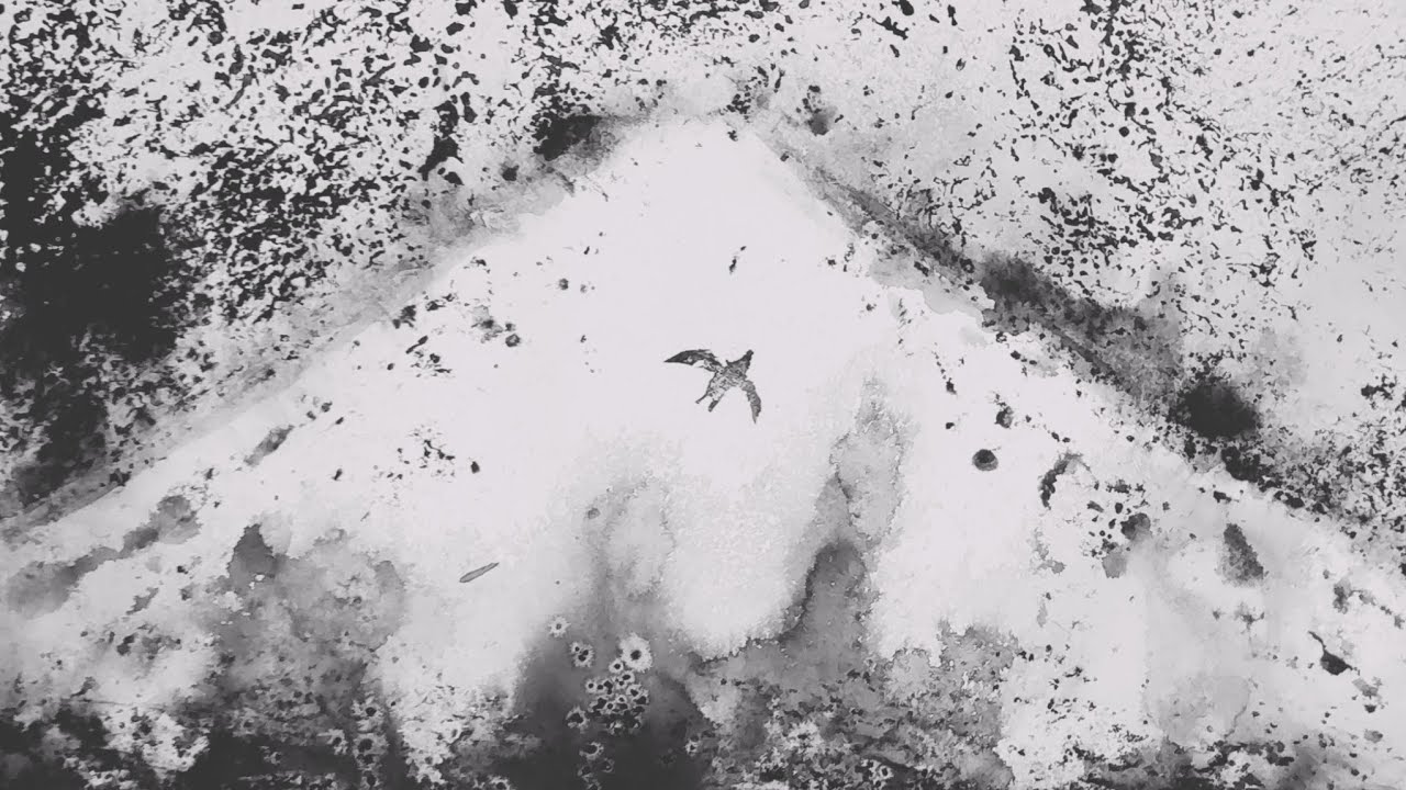 絵描きhiro C 「籠の鳥と花」 Black and white painting HIRO - YouTube
