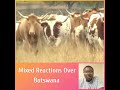 Botswana improves economy by cow importation #news #action  #ifiamedia4496