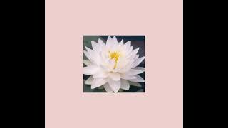 Meghan Trainor- Me Too(slowed)