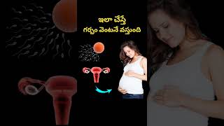 ఇలా చేస్తే గర్భం వెంటనే వస్తుంది | How to get pregnancy fast #pregnancy