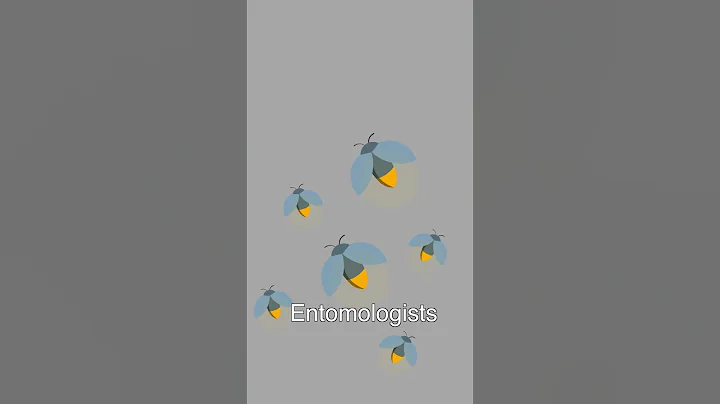 How Fireflies Light Up At Night?✨