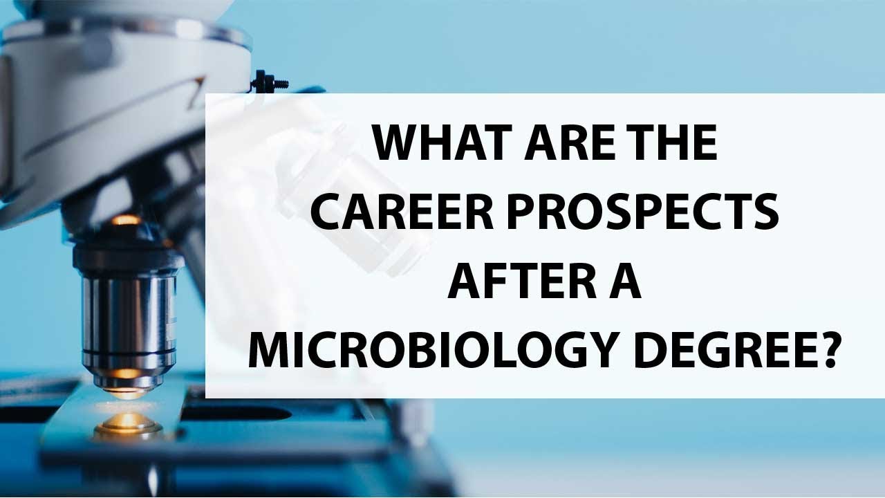 What Are The Career Prospects After A Microbiology Degree? YouTube