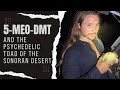 Capture de la vidéo 5-Meo-Dmt And The Psychedelic Toad Of The Sonoran Desert