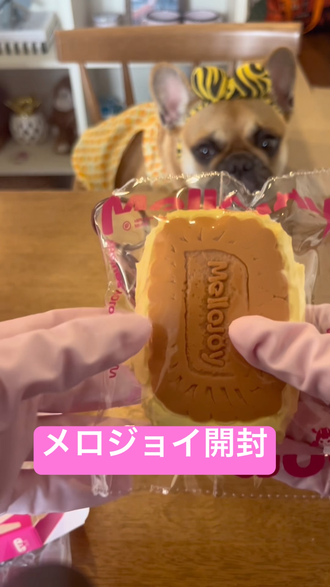 メロジョイ mellojoy 没頭 バター ハンバーガー キャラメルクリーム メロジョイ Mellojoy スクイーズ バタークリームチーズ キャラメル