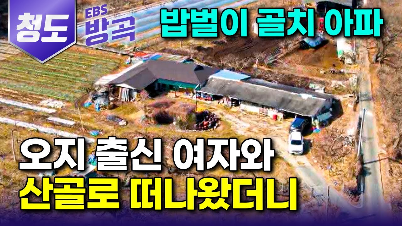 [경북 청도] 