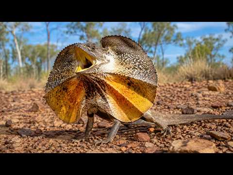 15 strange animals you might not know about