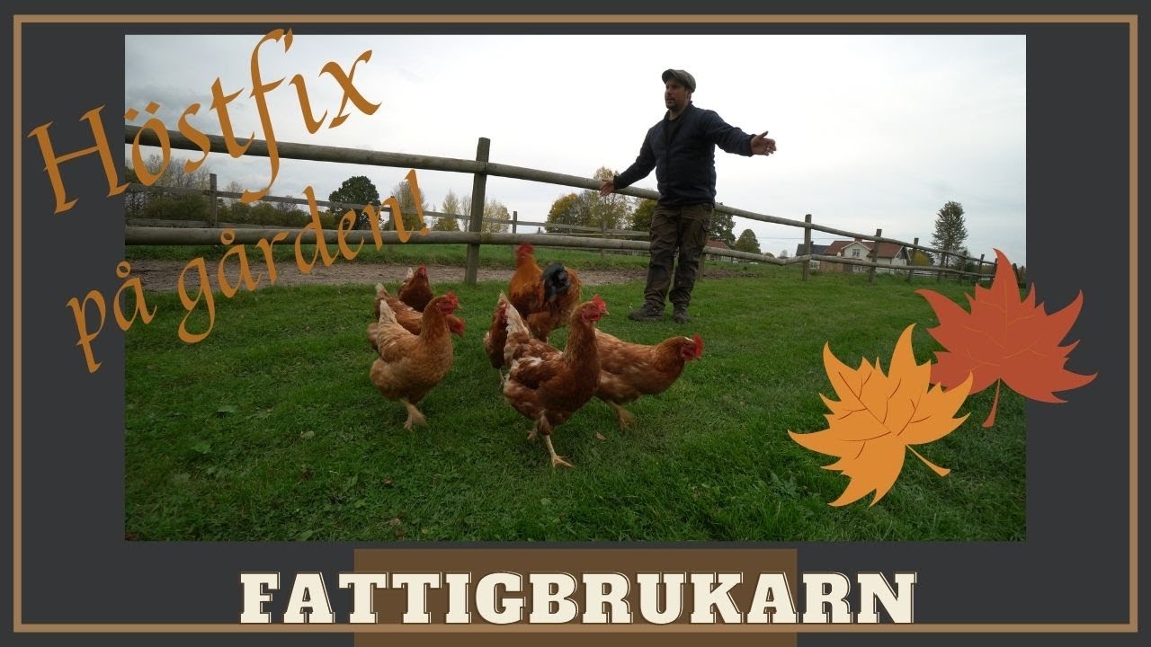 Förbereder djur inför vintern!