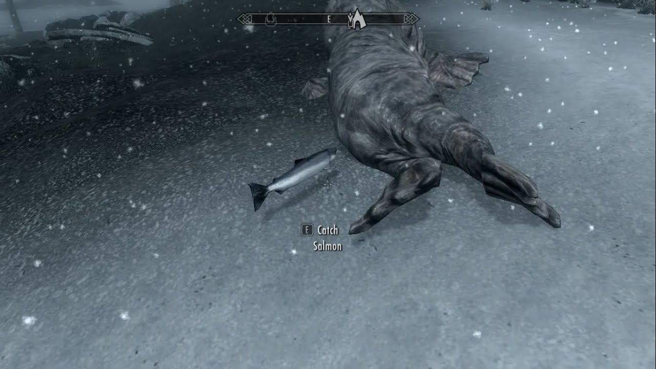 skyrim but a floating salmon went through a horker's ass YouTube