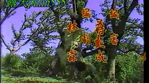 1988中視【射鵰英雄傳之華山論劍】黃文豪、陳玉蓮 - 天天要聞