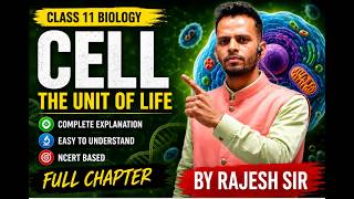 (  Eukaryotic cell ) and its cell wall  Theunit of life