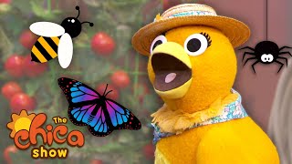 Chica Learns About Bugs! | The Chica Show | Universal Kids Preschool