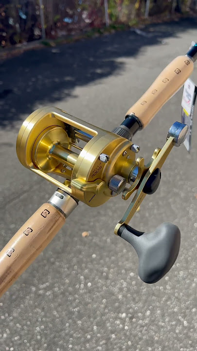 Haven't seen a Shimano Calcutta 700 B in a while! 