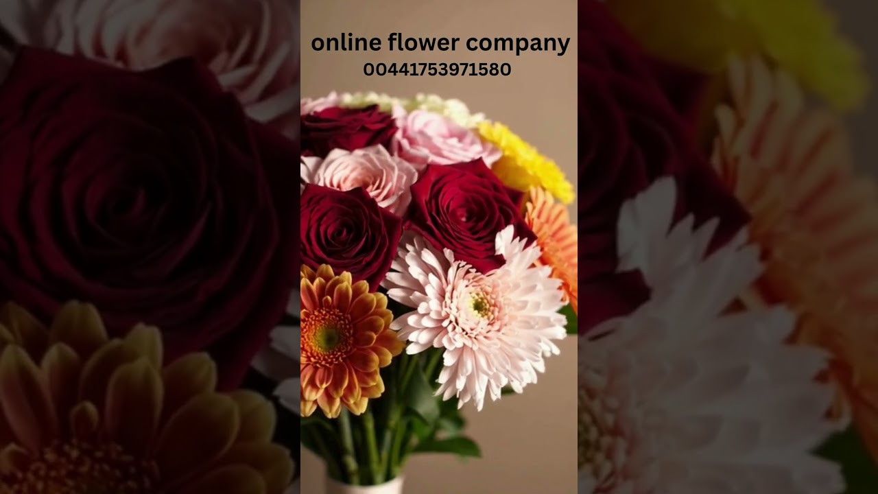 Flowers for Christmas