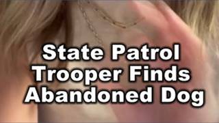 “Are you pawing me?” Trooper finds abandoned puppy at rest stop