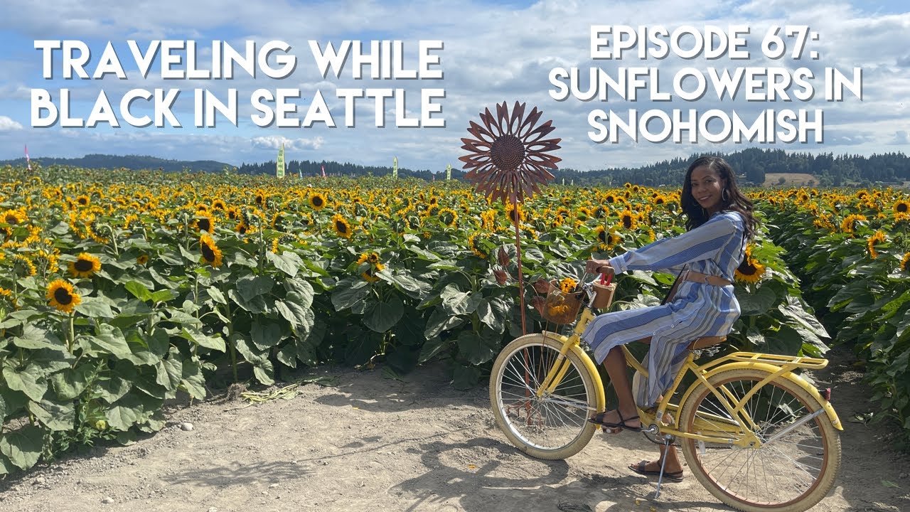 Traveling While Black™ in Seattle Episode 67 Sunflowers in Snohomish
