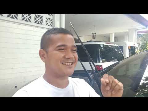 Video: Paano ko maiiwasan ang mga dahon sa aking sasakyan?