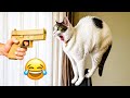 Cutest and Funniest Cats &amp; Dogs Moments 2026 | Viral Clips | Part - 6 | (USA Edition 🇺🇸) 