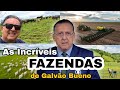 Conheça as Fazendas de Galvão Bueno