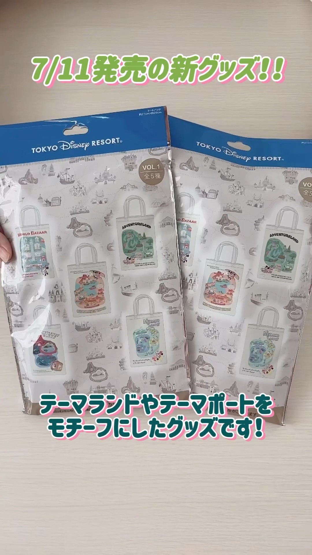 神引き⁈ディズニー新グッズ！何が当たるか分からないトート