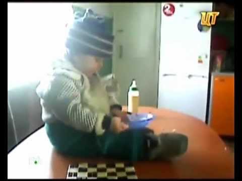 Машина органов опеки