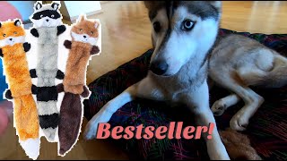 Should you buy this BESTSELLER ZippyPaws DOG TOY? 100 second review