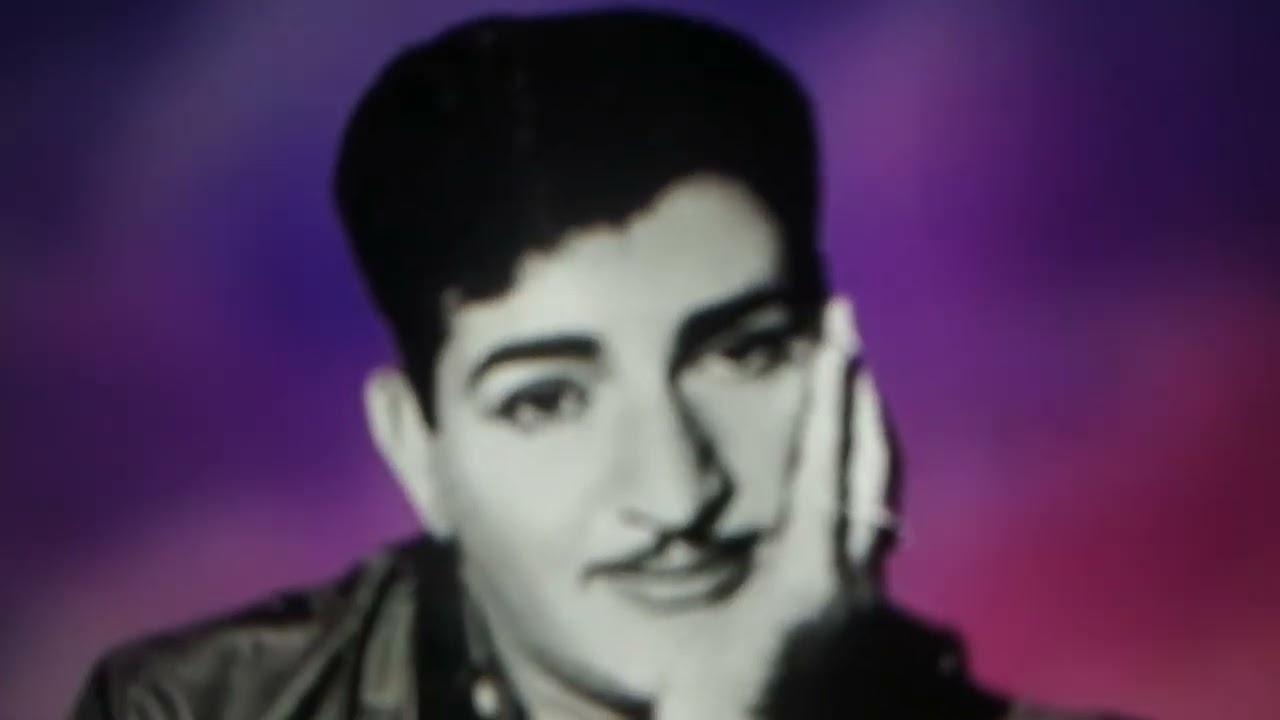 అన్న యన్ టీ ఆర్ గారి లైఫ్ సాంగ్ /