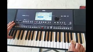 Korg PA600 Lazgi